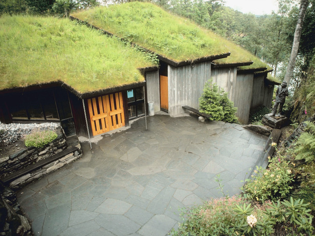 экологическая крыша